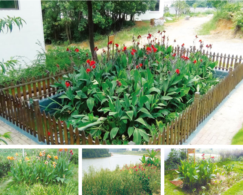 望城光明村汙水處理項目 望城光明村汙水處理項目