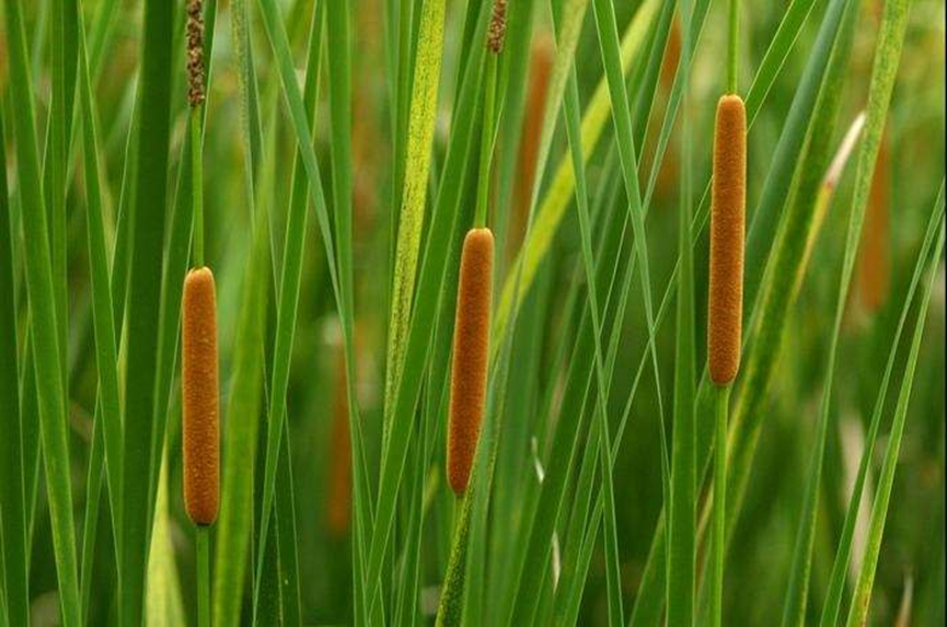 1659598693418730.png 1659598693418730.png