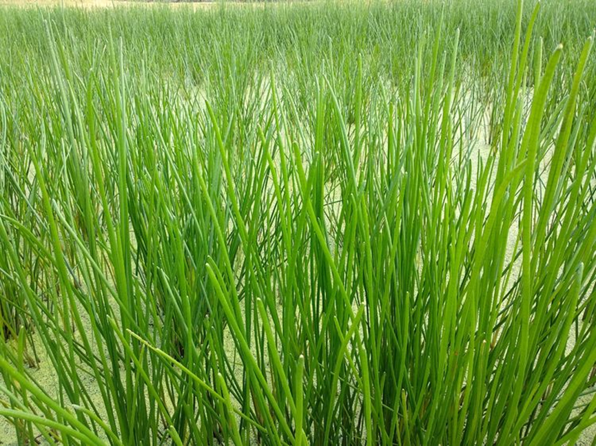 1659598767394877.png 1659598767394877.png