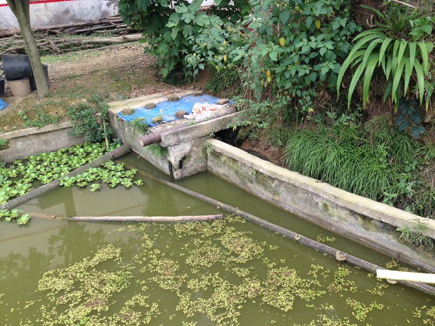 1661413298128863.png image.png