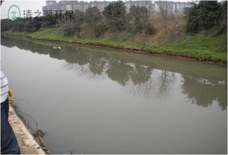 黑臭河道粉色APP污视频下载具體應該怎麽做，黑臭河道的整治對策
