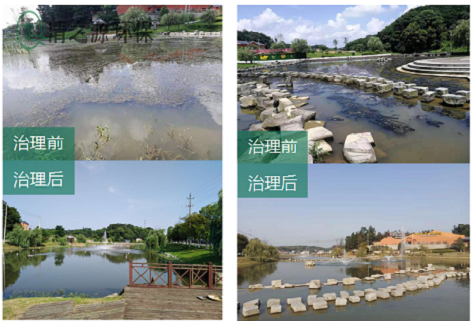 農村汙水處理設備是生物膜法衍生的一種廢水生物處理方法