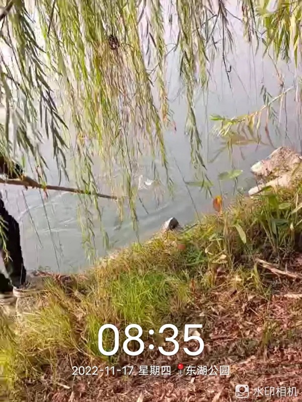 1668653514161606.jpg 6.jpg