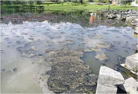 汙水粉色APP污视频下载需要經常測量和監測哪些水汙染指標 汙水粉色APP污视频下载需要經常測量和監測哪些水汙染指標