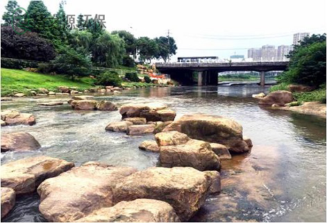 活性汙泥法處理汙水的工作原理，以及受哪些因素影響