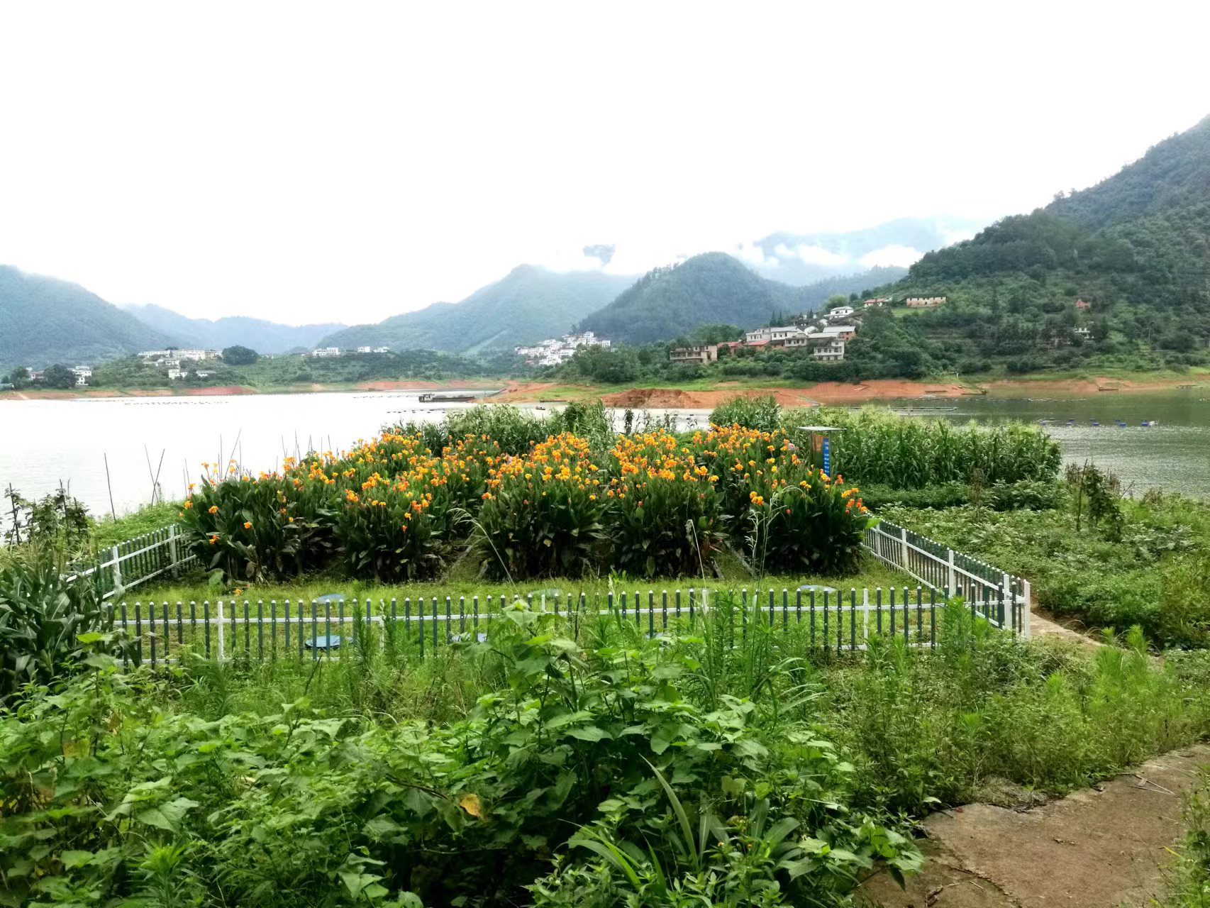 1704246897214275.jpg 微信圖片_20230504112542.jpg