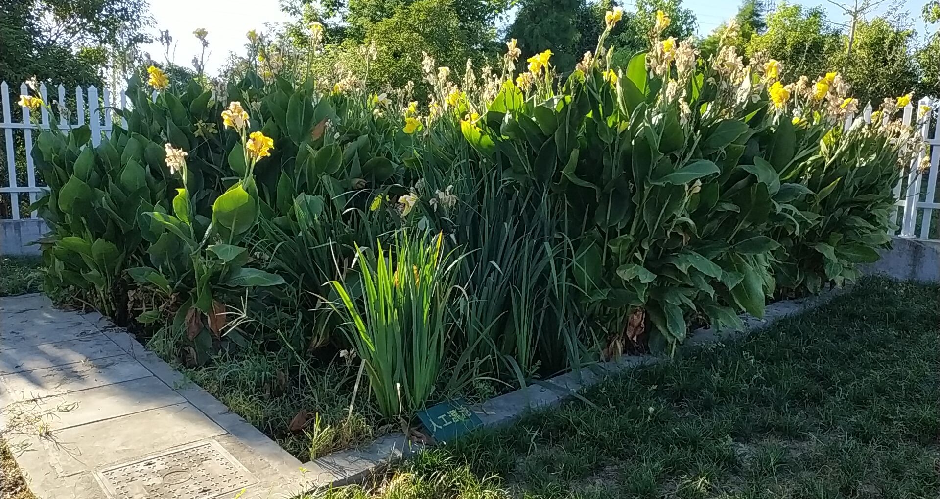 1719890177199867.jpg 1719890177199867.jpg