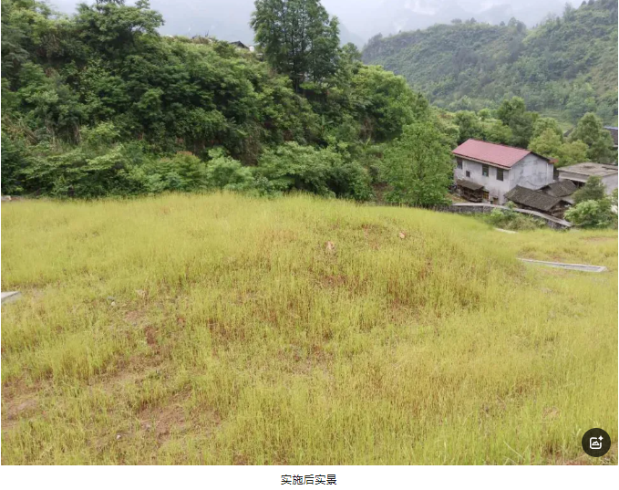 1747708689716399.png image.png