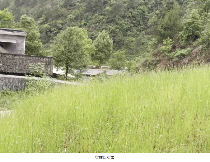 1747708756200400.png image.png