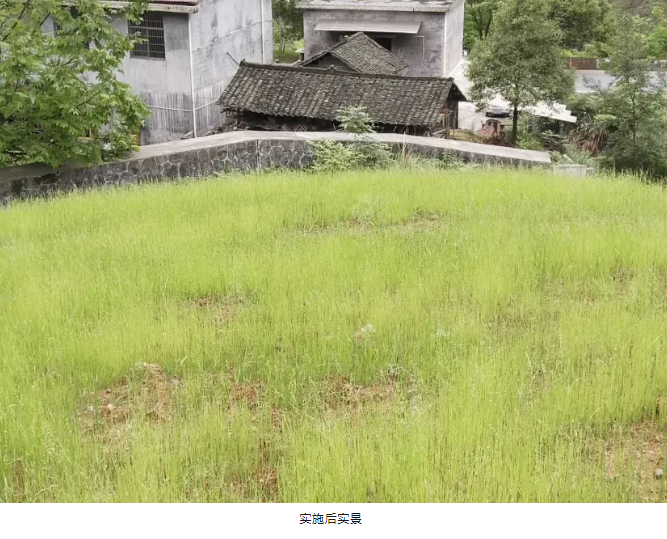 1747708819108157.png image.png