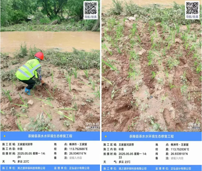 1747971276774865.png image.png