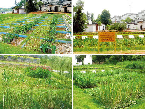 新農村汙水改造工程找什麽公司做