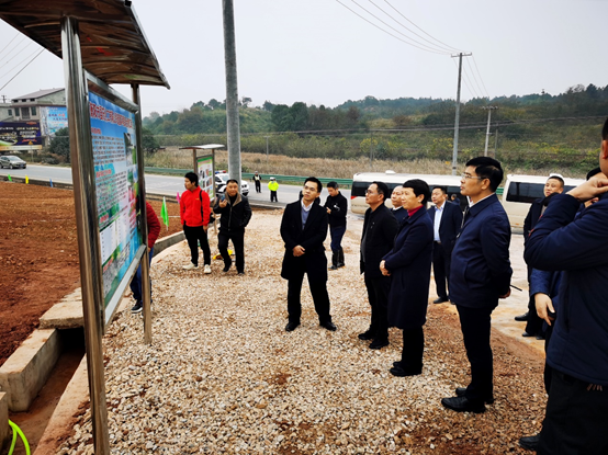 粉色视频WWW在线观看下载土壤修複環境綜合粉色APP污视频下载