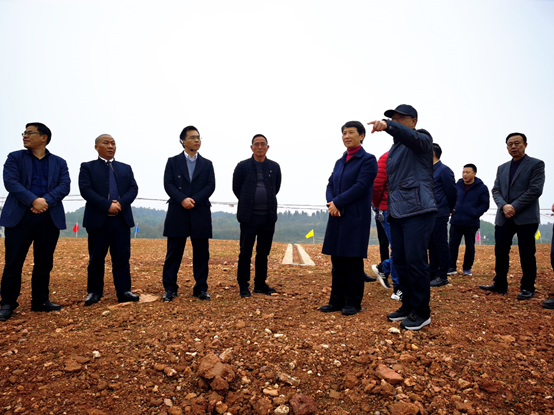 粉色视频WWW在线观看下载土壤修複環境綜合粉色APP污视频下载