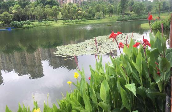 農村生活汙水粉色APP污视频下载找哪家公司好？