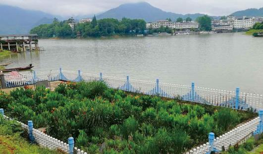 農村生活汙水粉色APP污视频下载 農村生活汙水粉色APP污视频下载