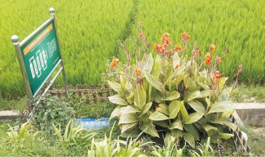 農村環境綜合整治找哪家公司好？