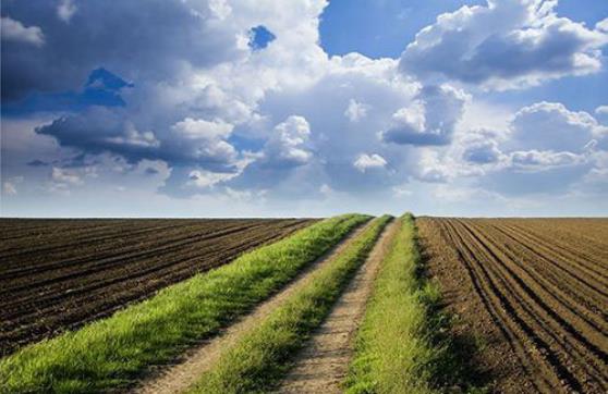 什麽樣的粉色视频WWW网站入口公司能長期合作？