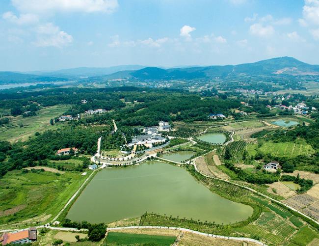 粉色视频WWW网站入口合夥 粉色视频WWW网站入口合夥