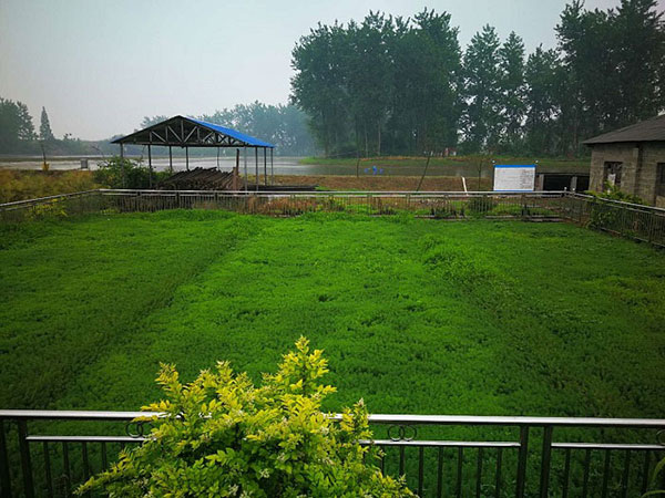 我國農村汙水處理存在哪些問題