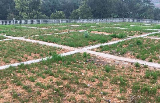 農村環境粉色APP污视频下载怎麽做才更有效？