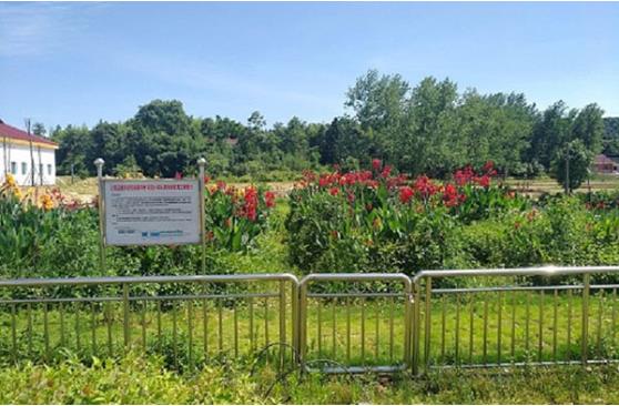 醫療廢水處理麵臨哪些難題？